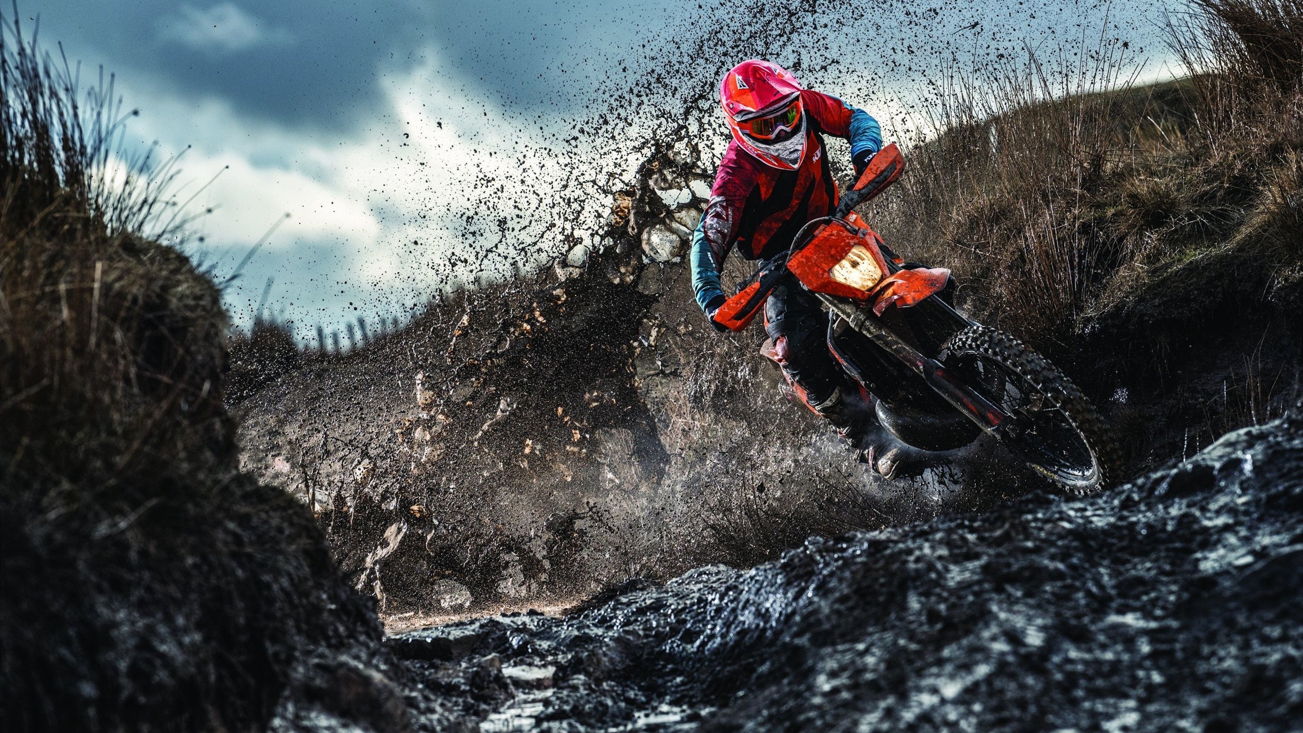 “马丁·高尔西强势崛起,成为阿根廷橄榄球新星”