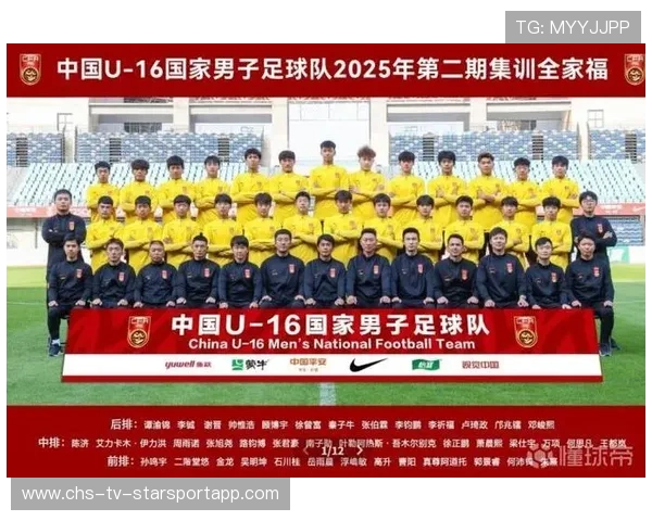 国家队是否重视对比赛录像的系统分析,国家队比赛足球